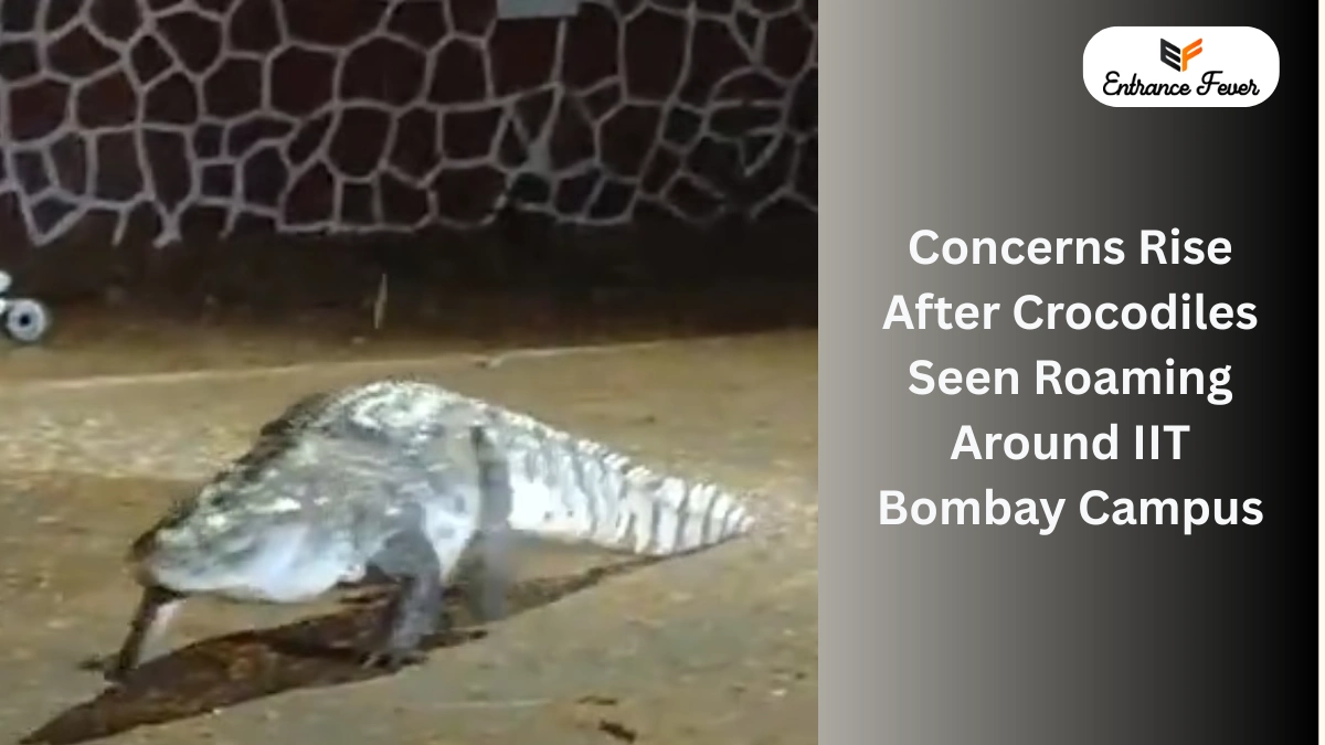 Concerns Rise After Crocodiles Seen Roaming Around IIT Bombay Campus